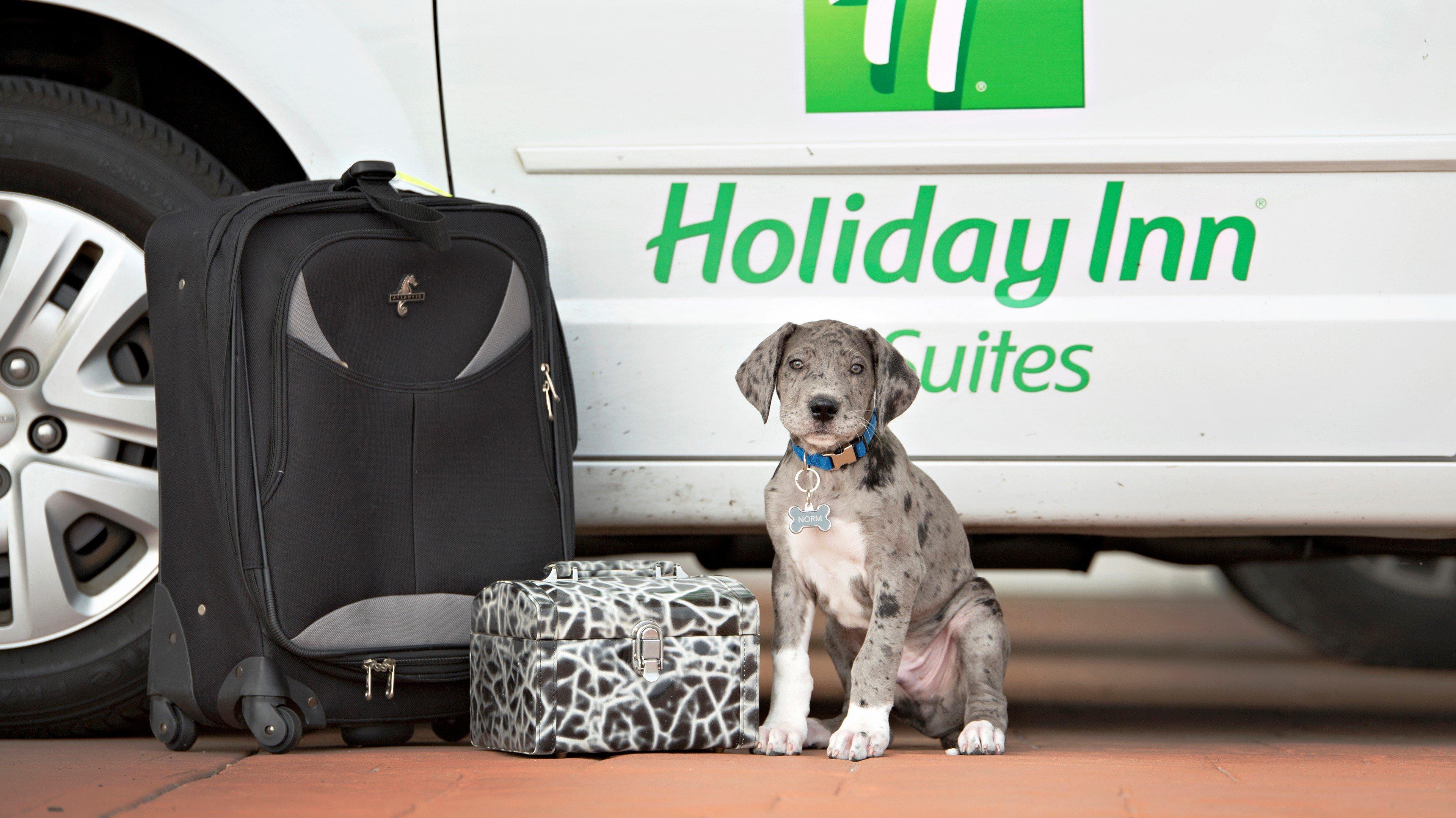 Holiday Inn Hotel & Suites Bloomington Airport By Ihg Luaran gambar
